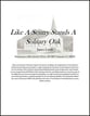 Like A Sentry Stands A Solitary Oak Concert Band sheet music cover